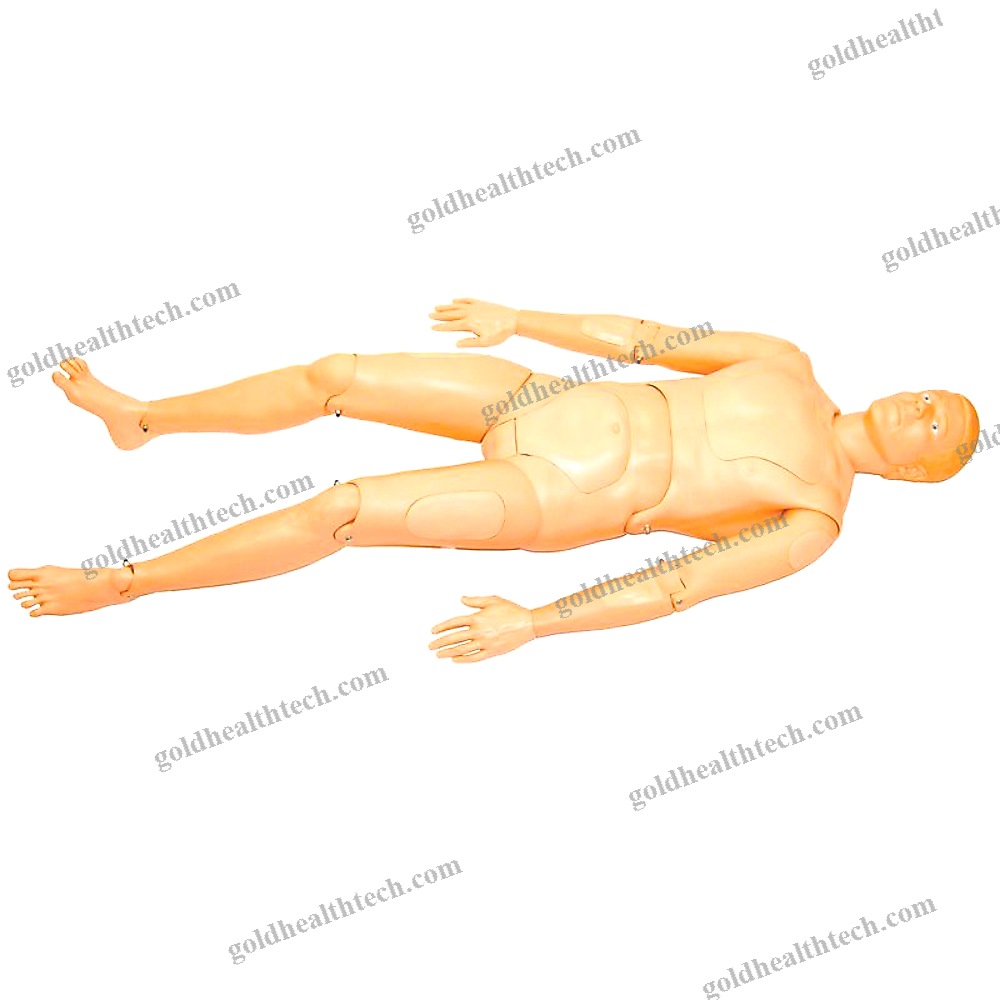 First Aid Patient Simulator