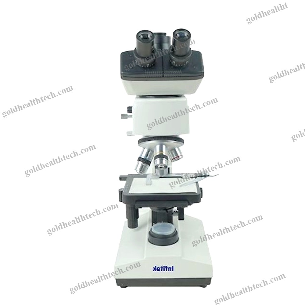 Fluorescence Microscope