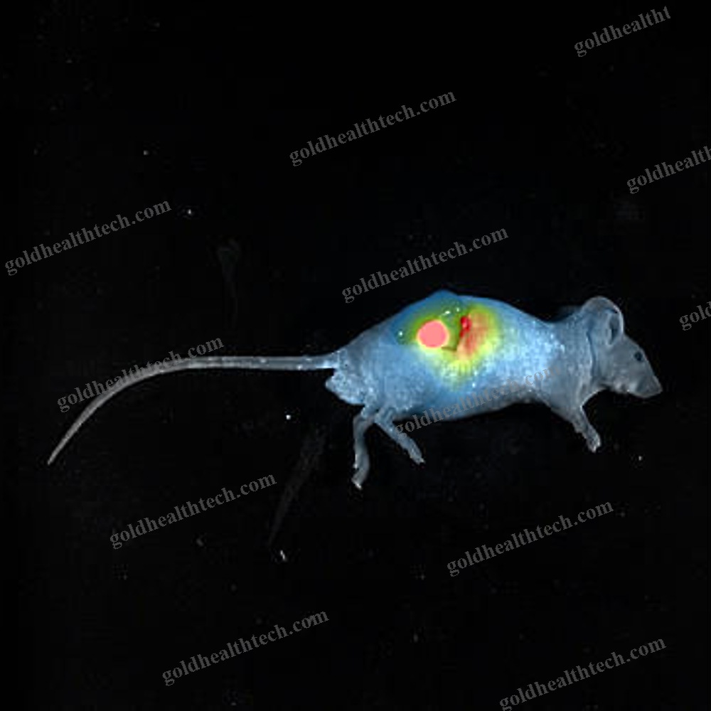 Fluorescence Preclinical Imaging System 1