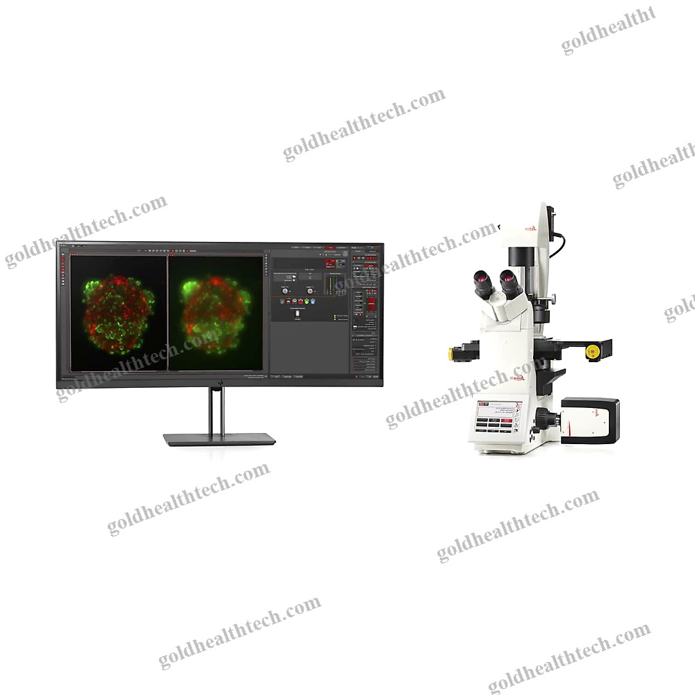 Fluorescence Stereo Microscope 1