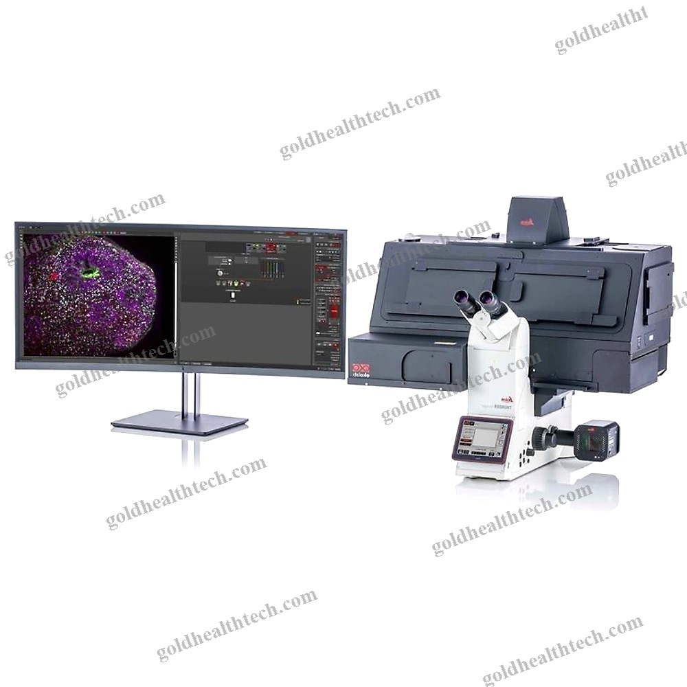 Fluorescence Stereo Microscope