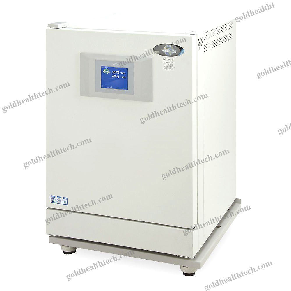 Forced Air Laboratory Incubator