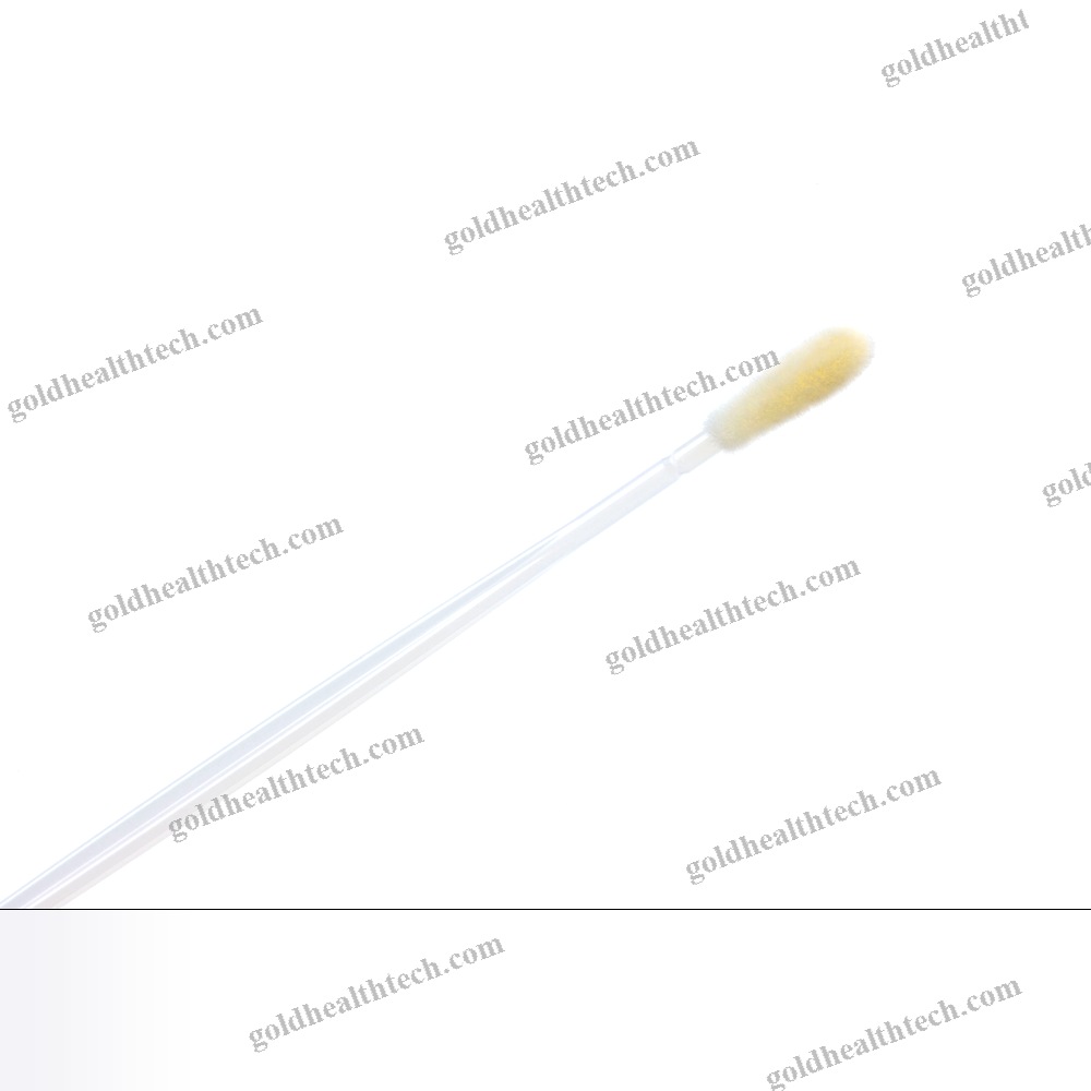 Forensic Swab 1