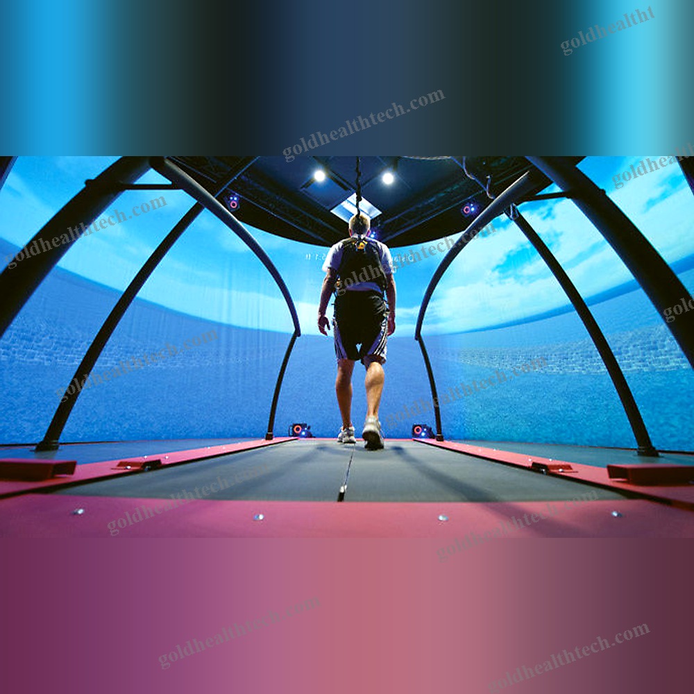 Gait Rehabilitation System 1