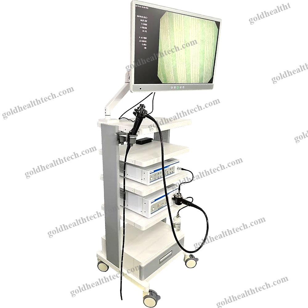 Gastroenterological Endoscopy Column 1
