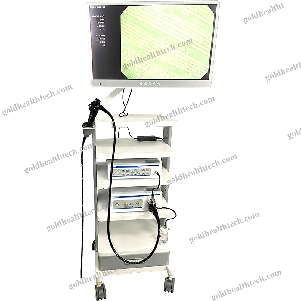 Gastroenterological Endoscopy Column