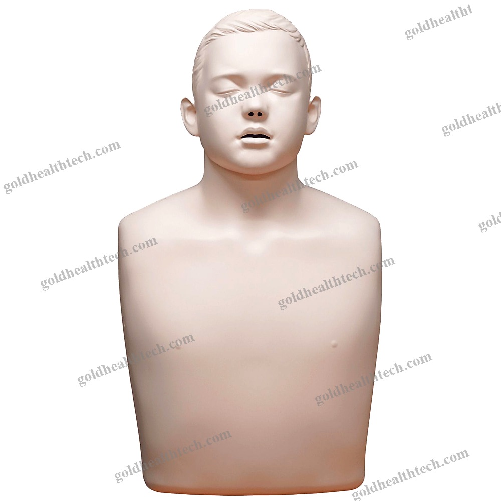 General Care Training Manikin