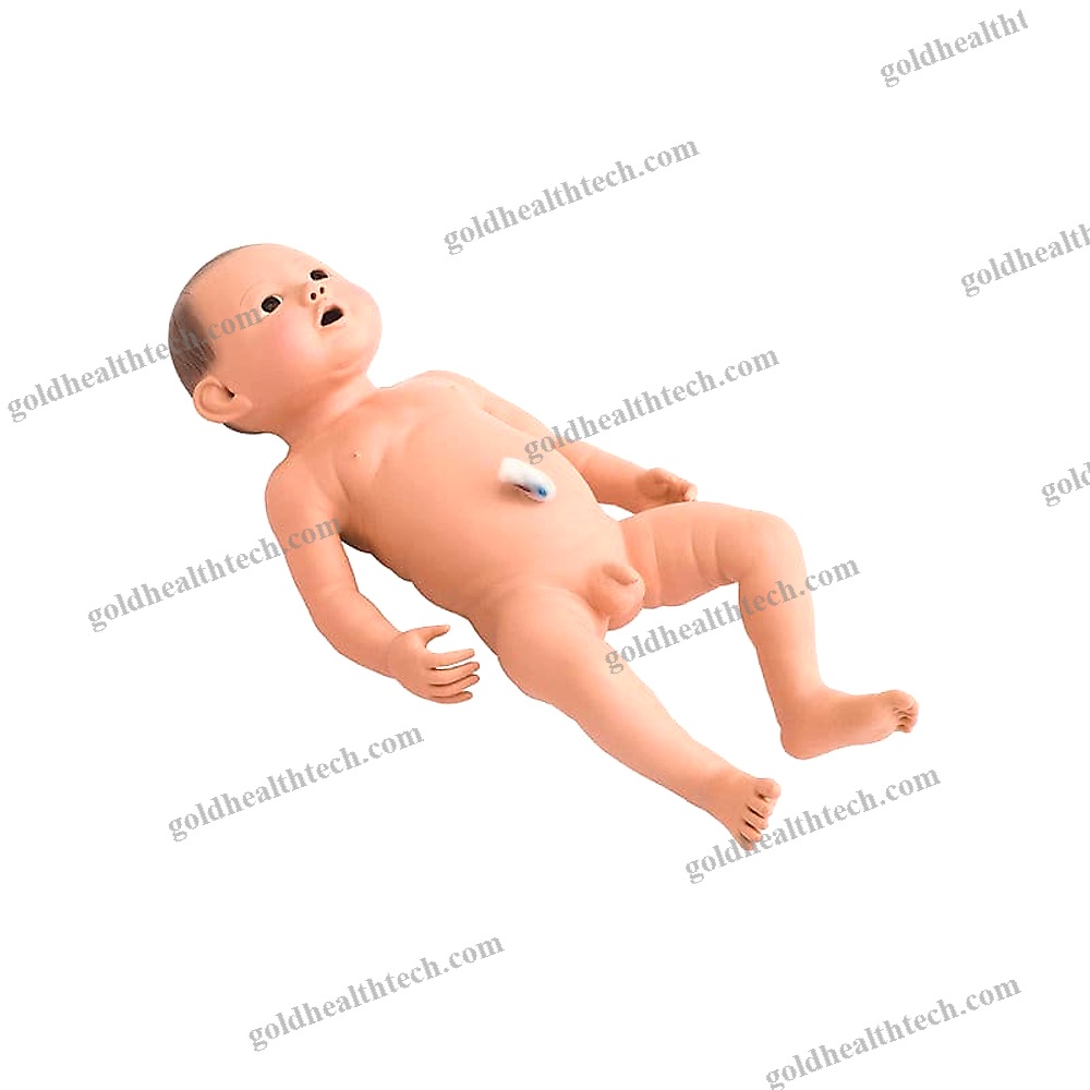 General Care Training Manikin