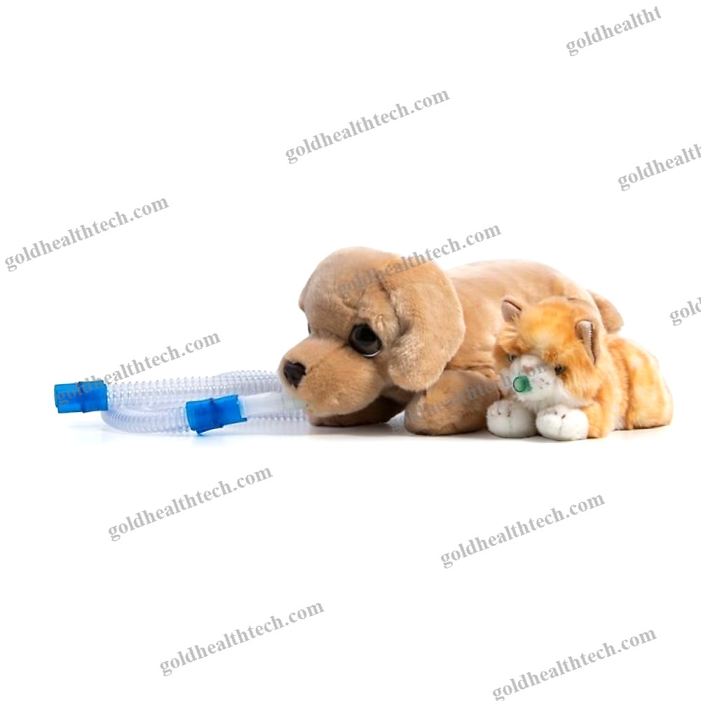 General Care Training Manikin