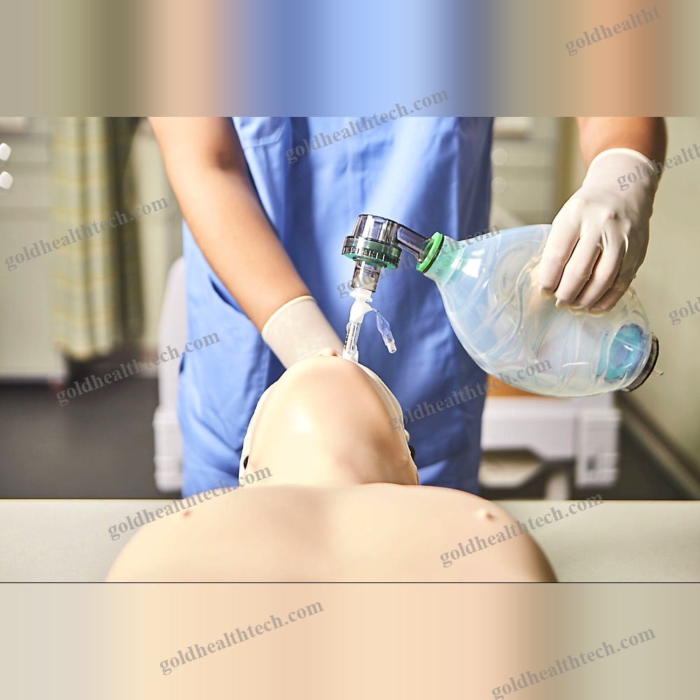 General Care Training Manikin 1