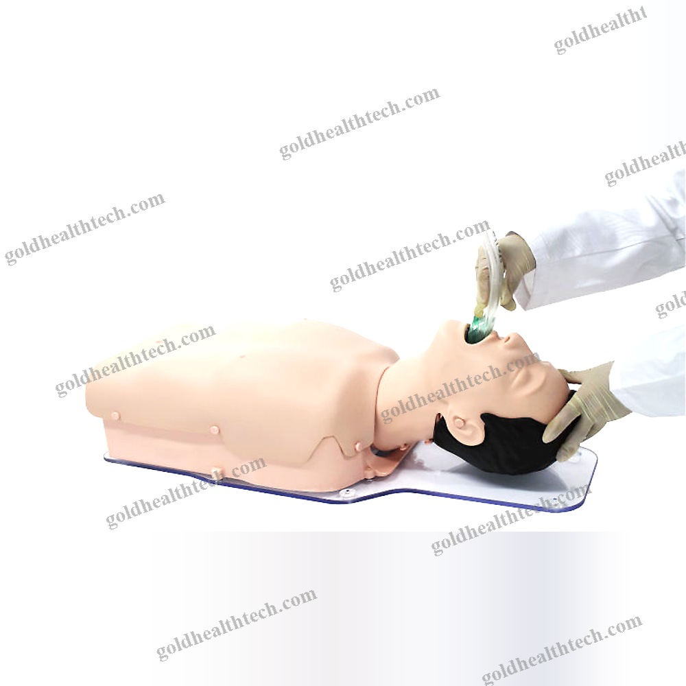 General Care Training Manikin