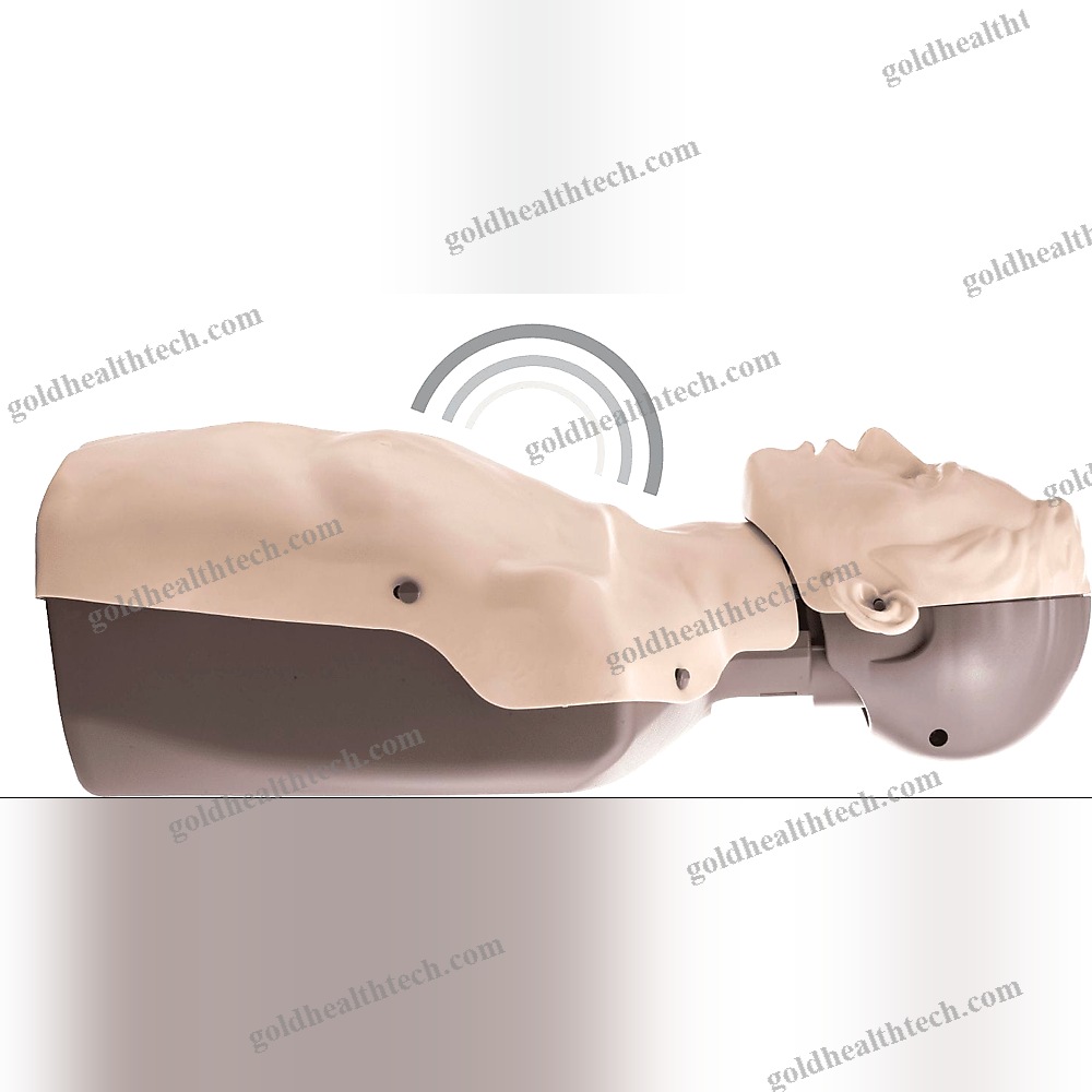 General Care Training Manikin 1