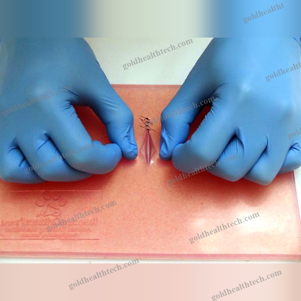 General Care Training Manikin 1