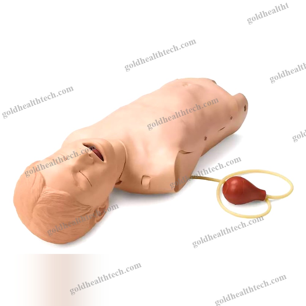General Care Training Manikin