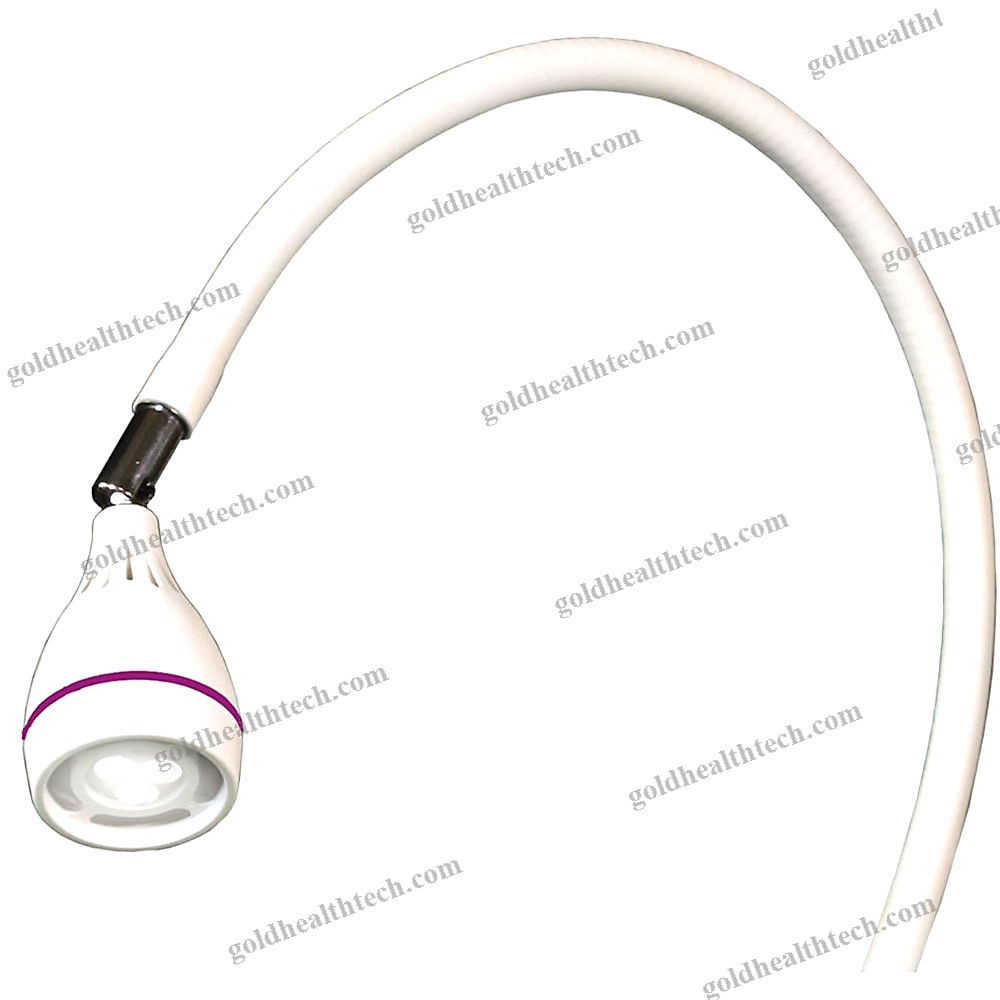 Gynecological Examination Lamp