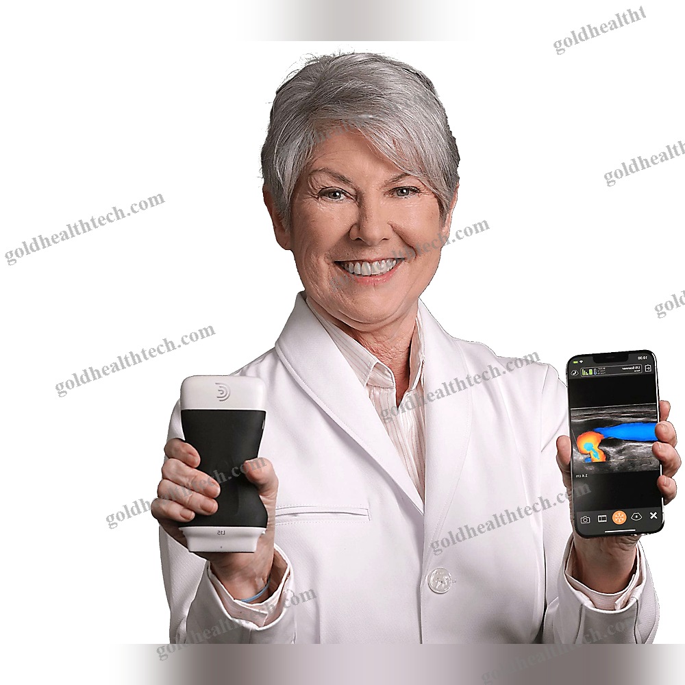 Hand-Held Ultrasound System 1