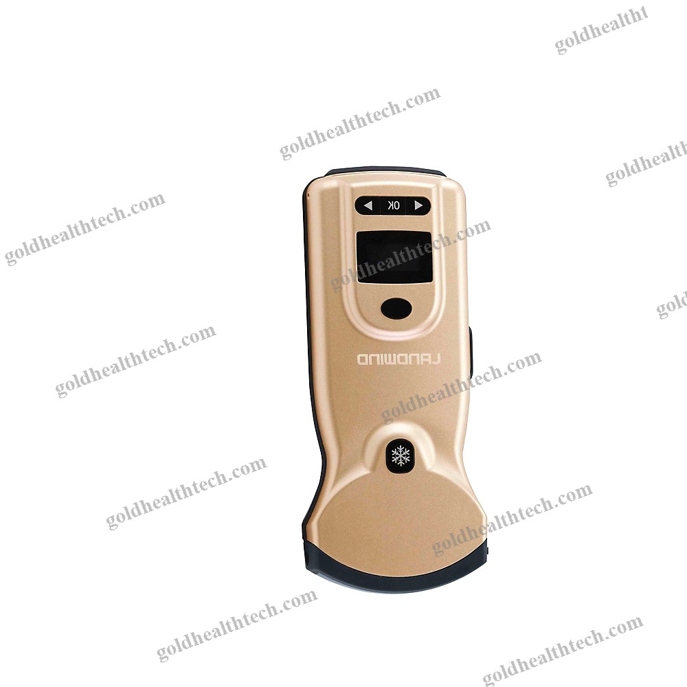 Hand-Held Ultrasound System