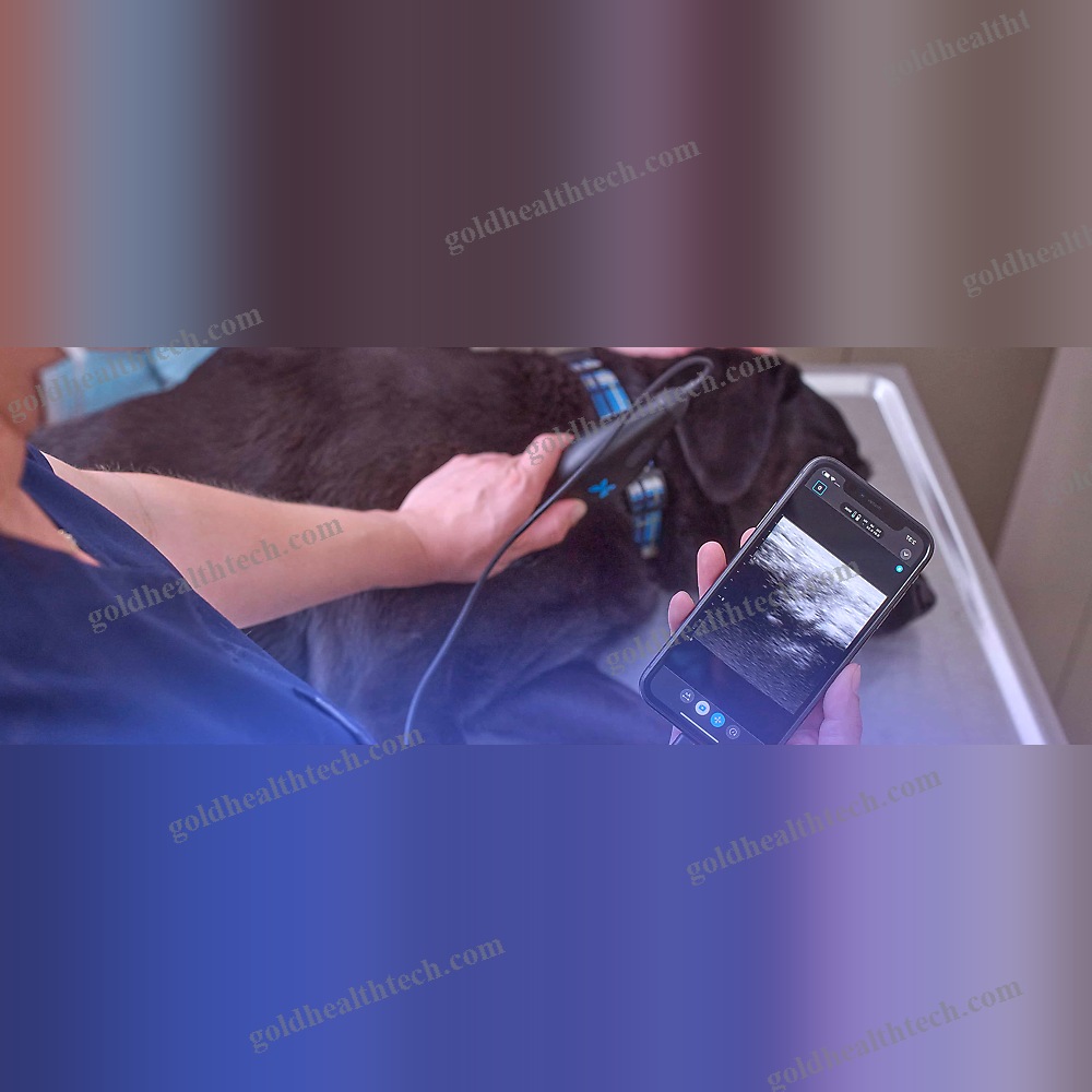 Hand-Held Veterinary Ultrasound System 1