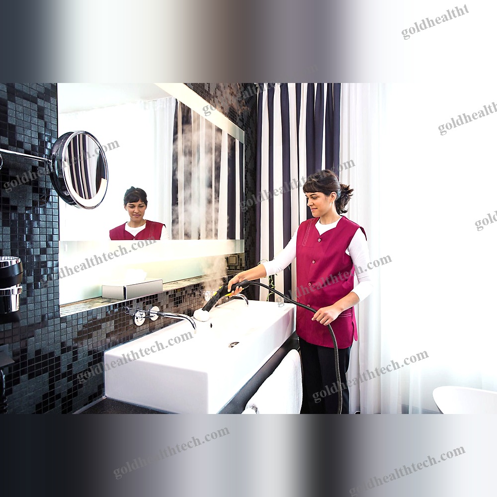 Healthcare Facility Steam Cleaner 1