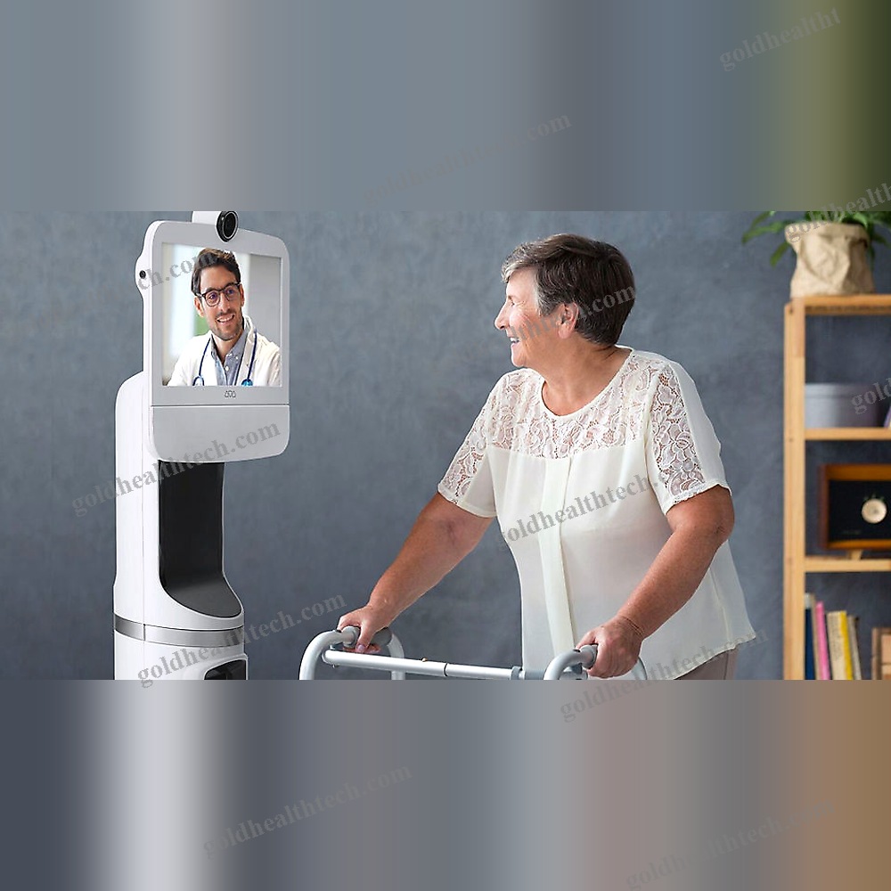 Healthcare Facility Telepresence Robot