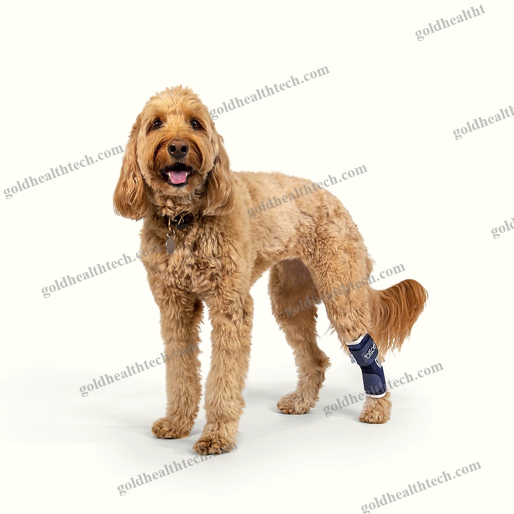 Hock Veterinary Splint