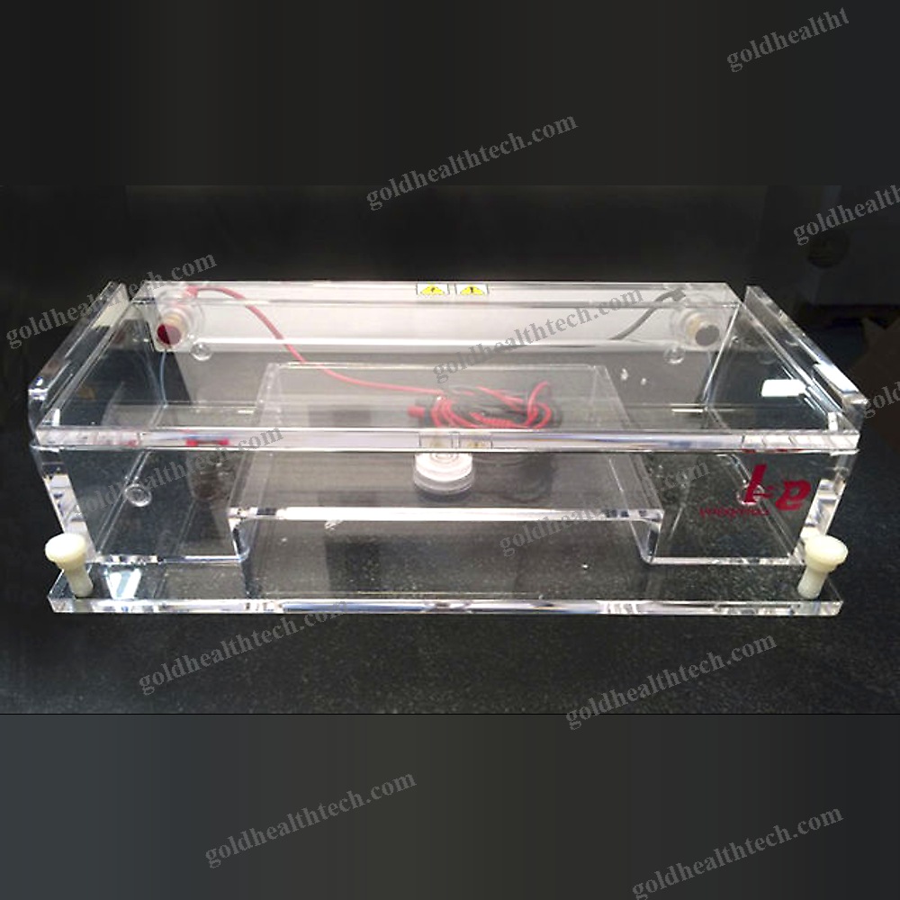 Horizontal Electrophoresis Chamber