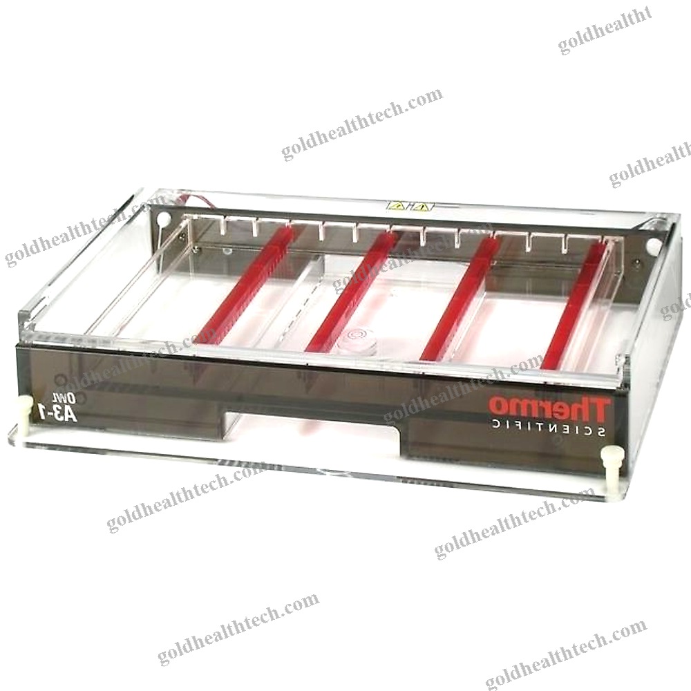Horizontal Electrophoresis Chamber