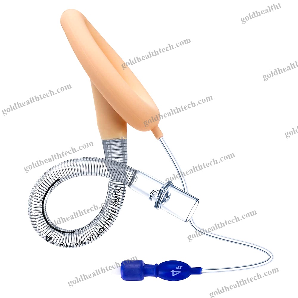Human Laryngeal Mask