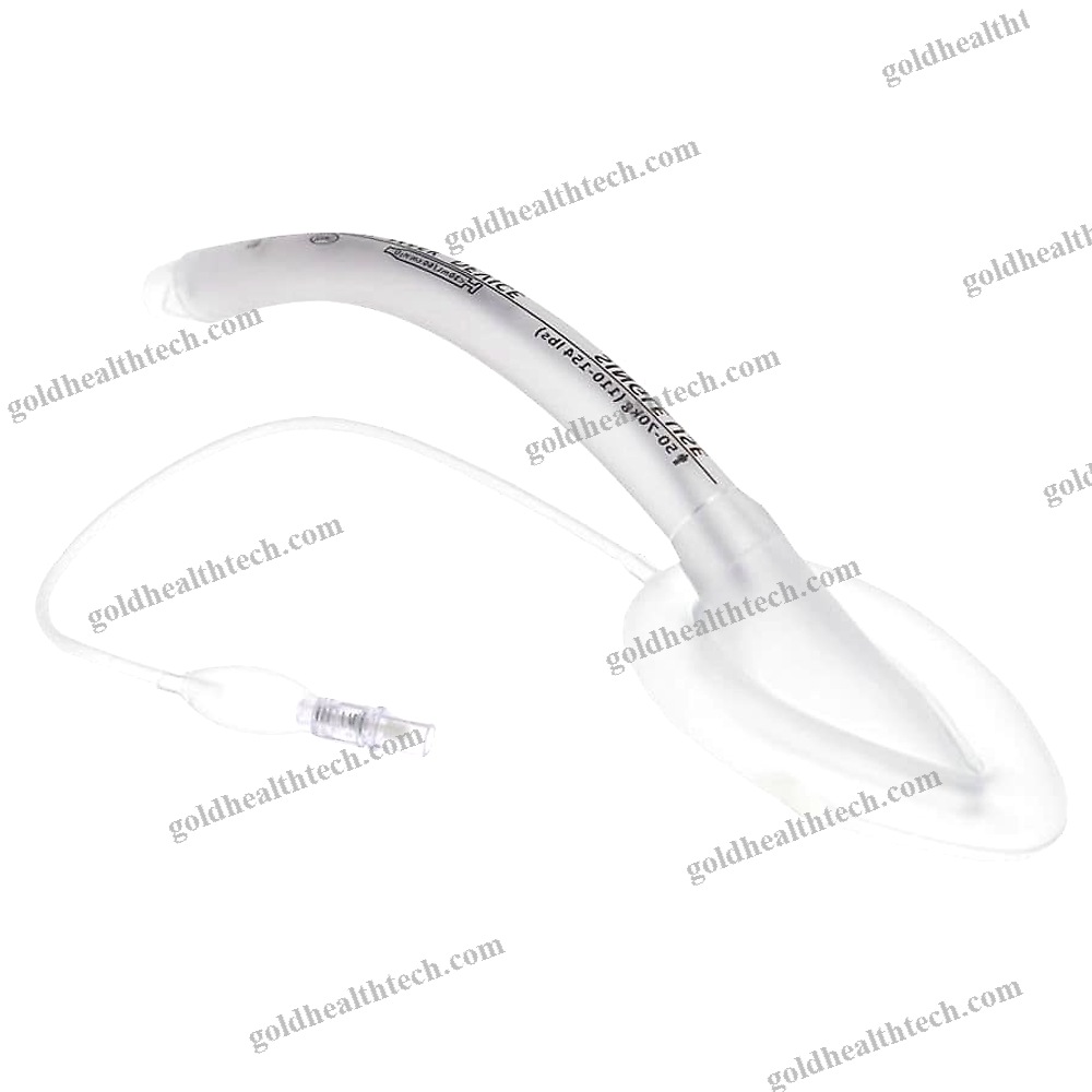 Human Laryngeal Mask