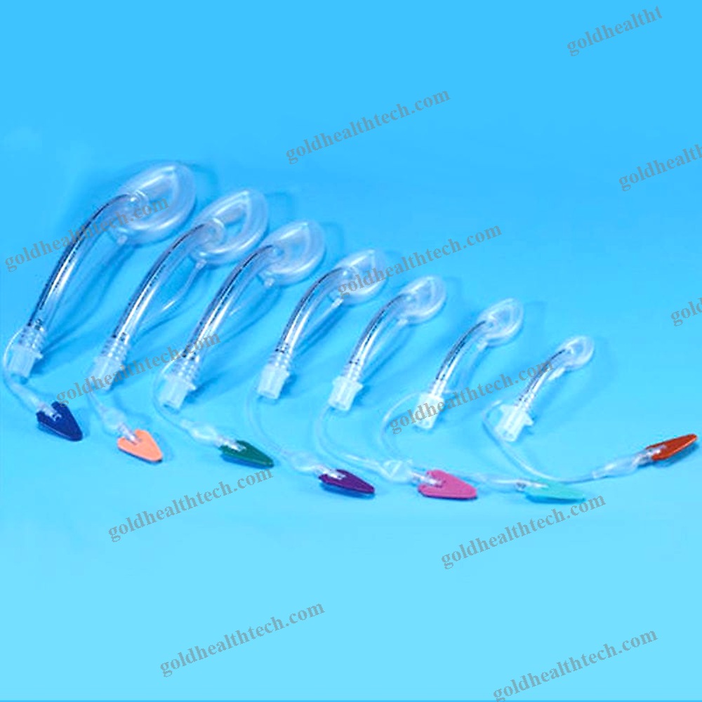 Human Laryngeal Mask