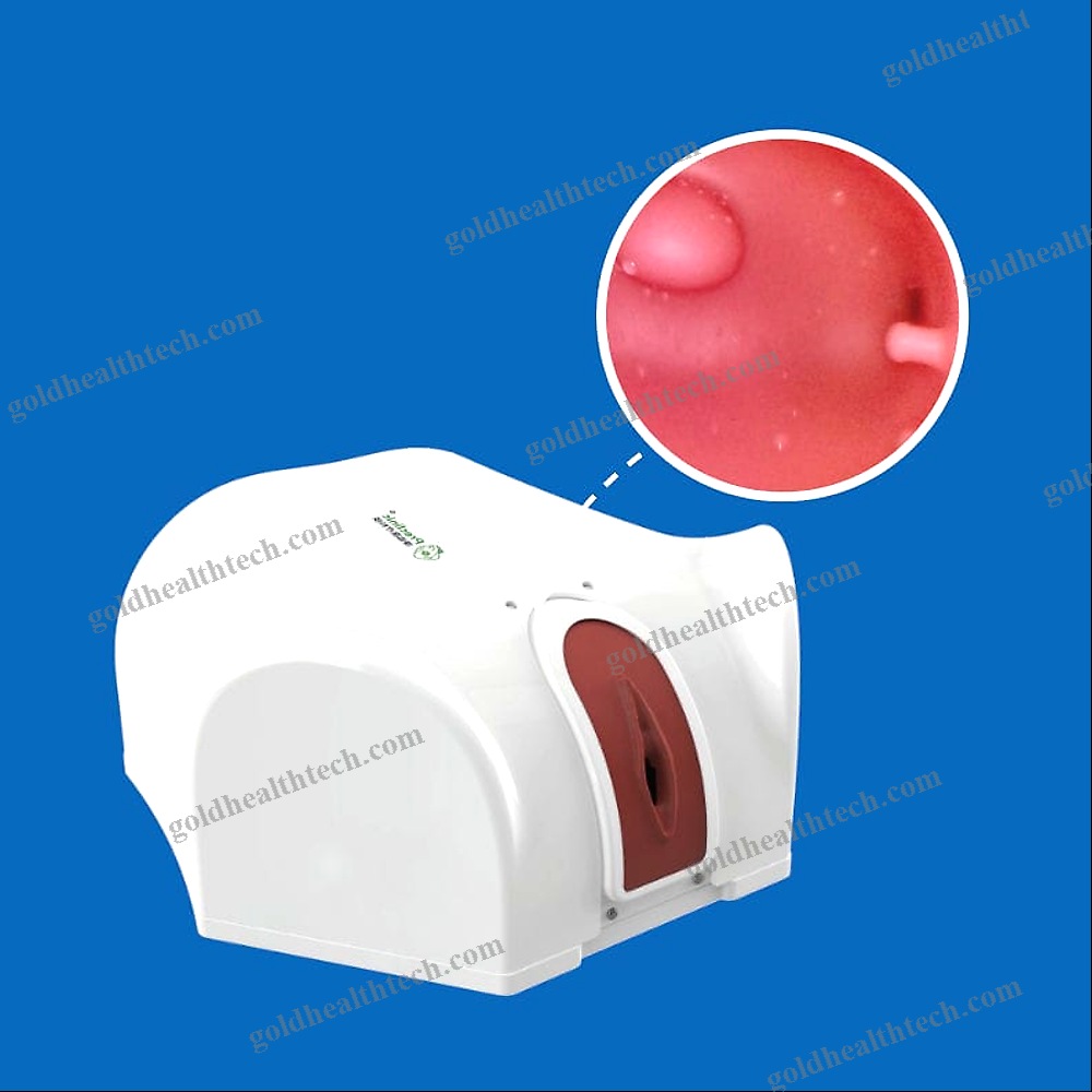 Hysteroscopy Simulator