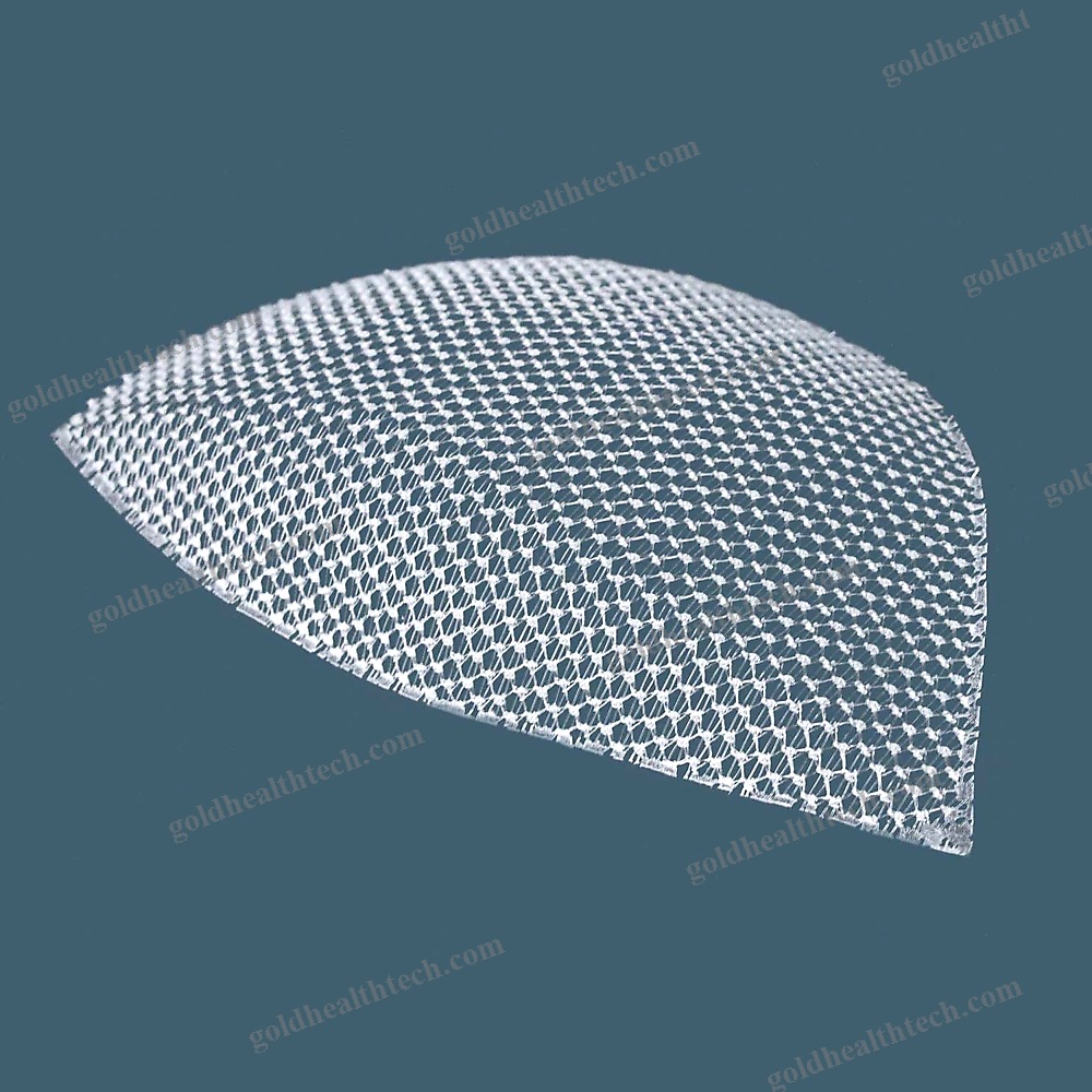 Inguinal Hernia Prosthesis