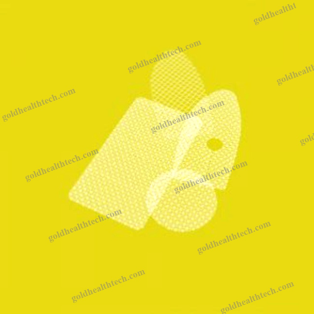 Inguinal Hernia Prosthesis