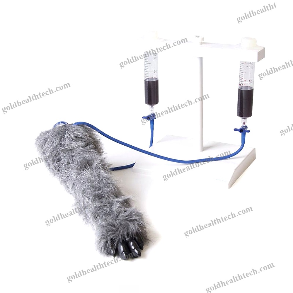 Intravenous Injection Simulator 1