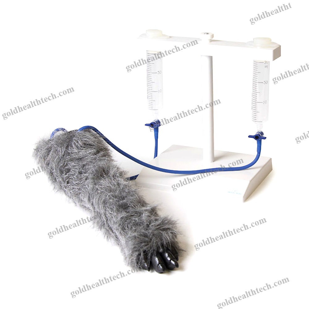 Intravenous Injection Simulator