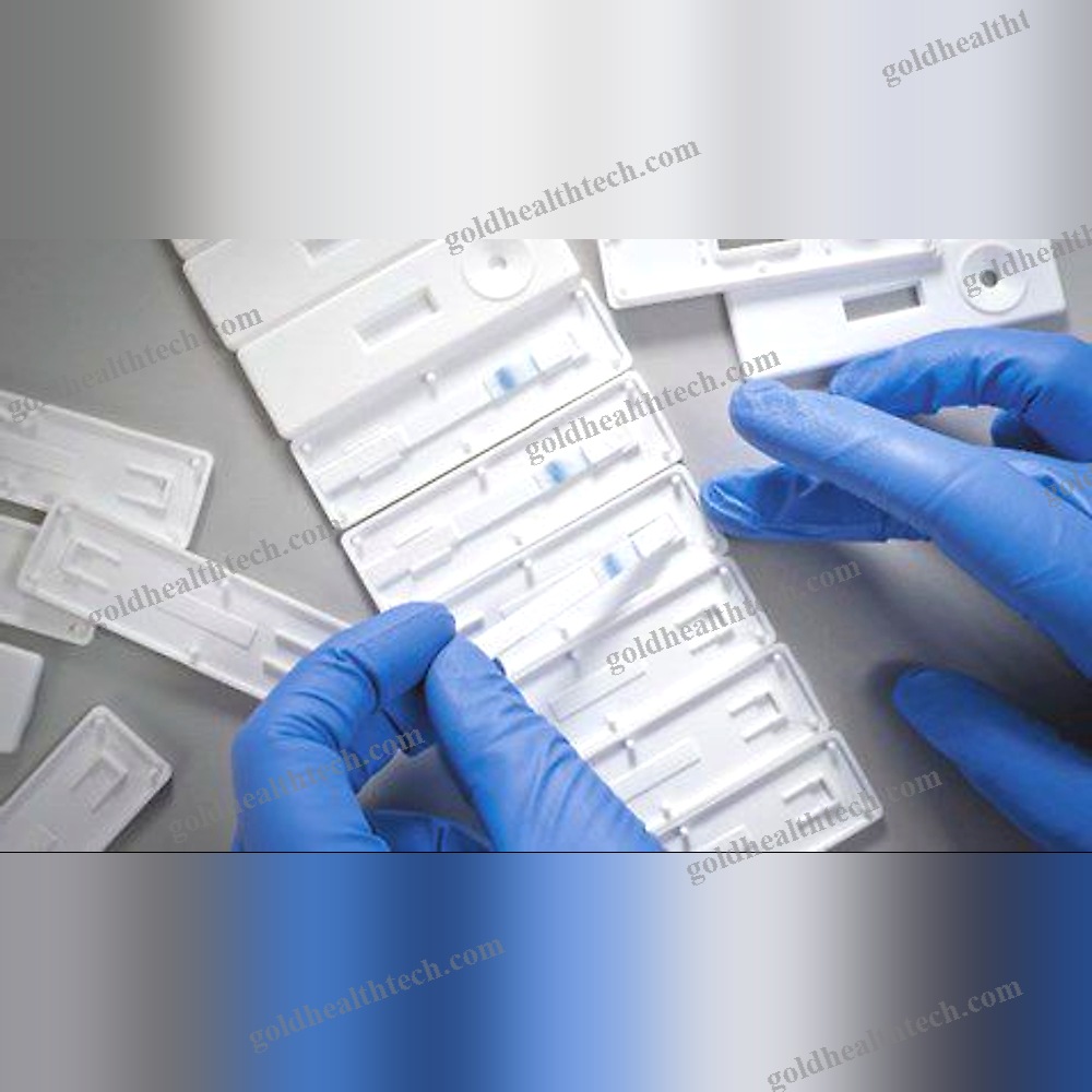 Lateral Flow Test Kit
