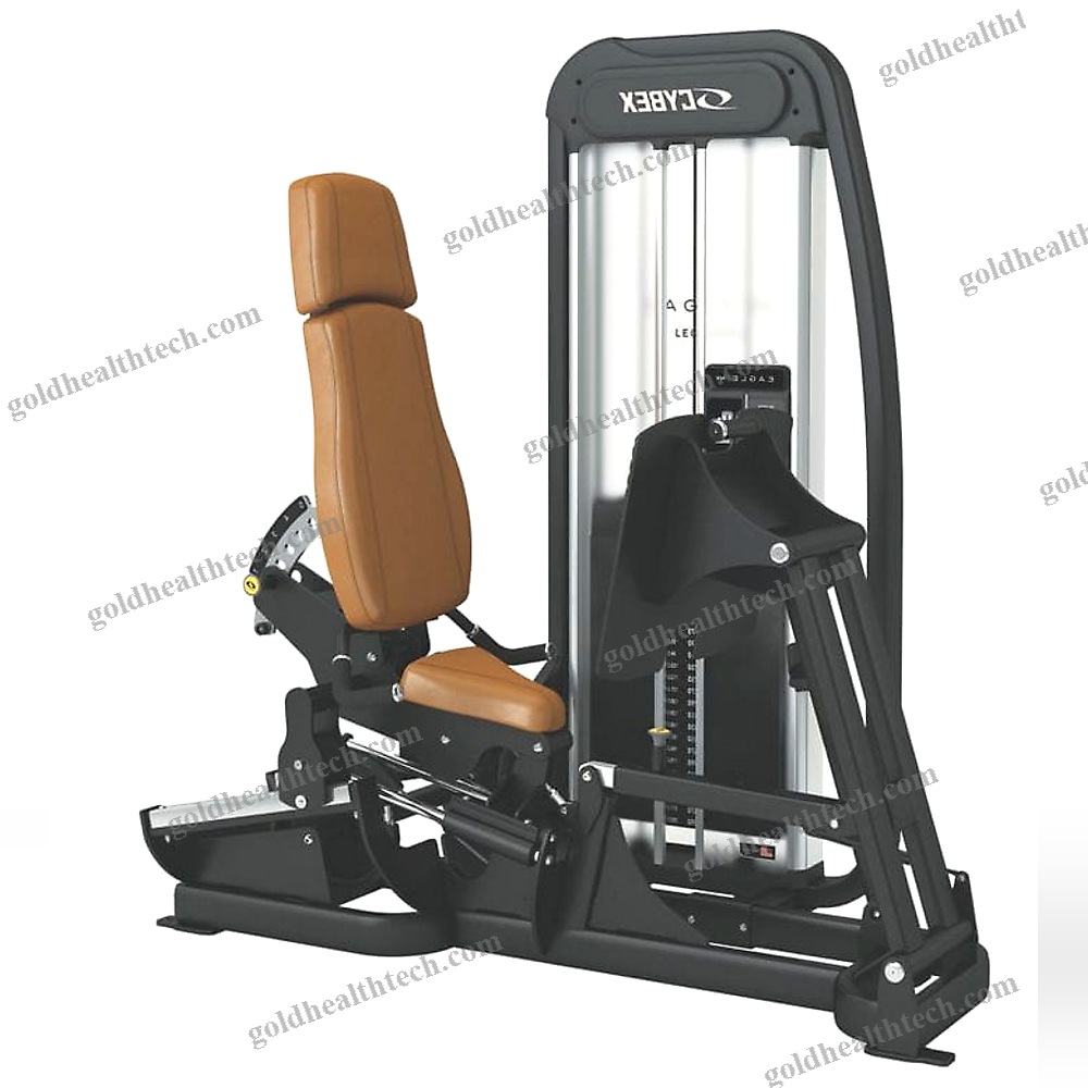 Leg Press Gym Station