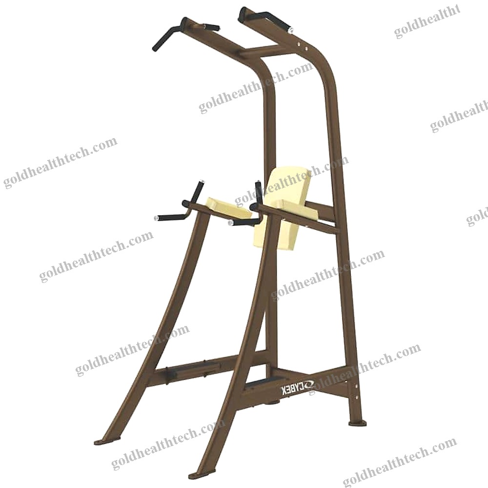 Leg Raise Chair With Pull-Up Bar
