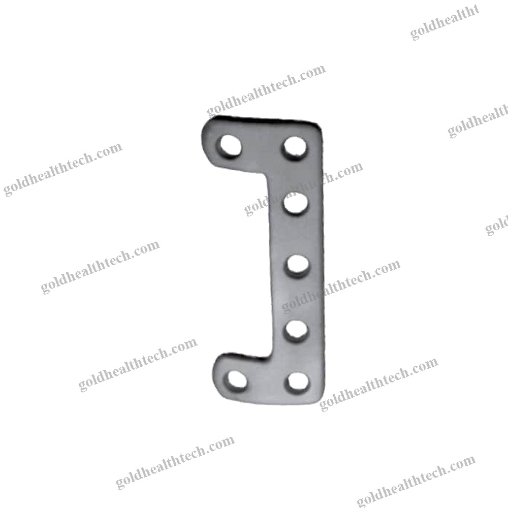 Lumbar Arthrodesis Plate