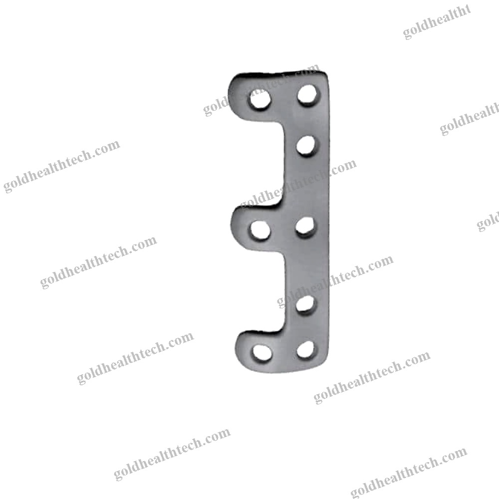Lumbar Arthrodesis Plate