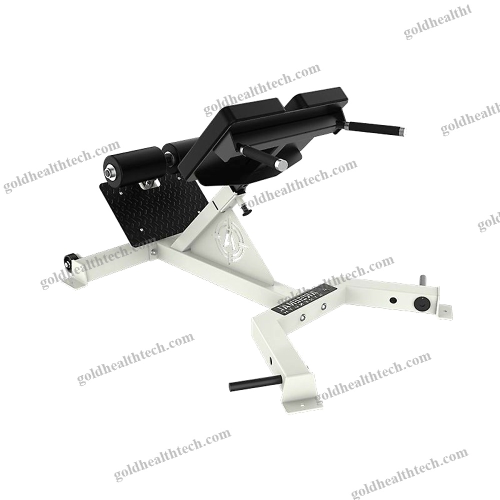Lumbar Extension Weight Training Bench
