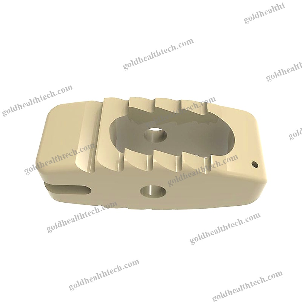 Lumbar Interbody Fusion Cage