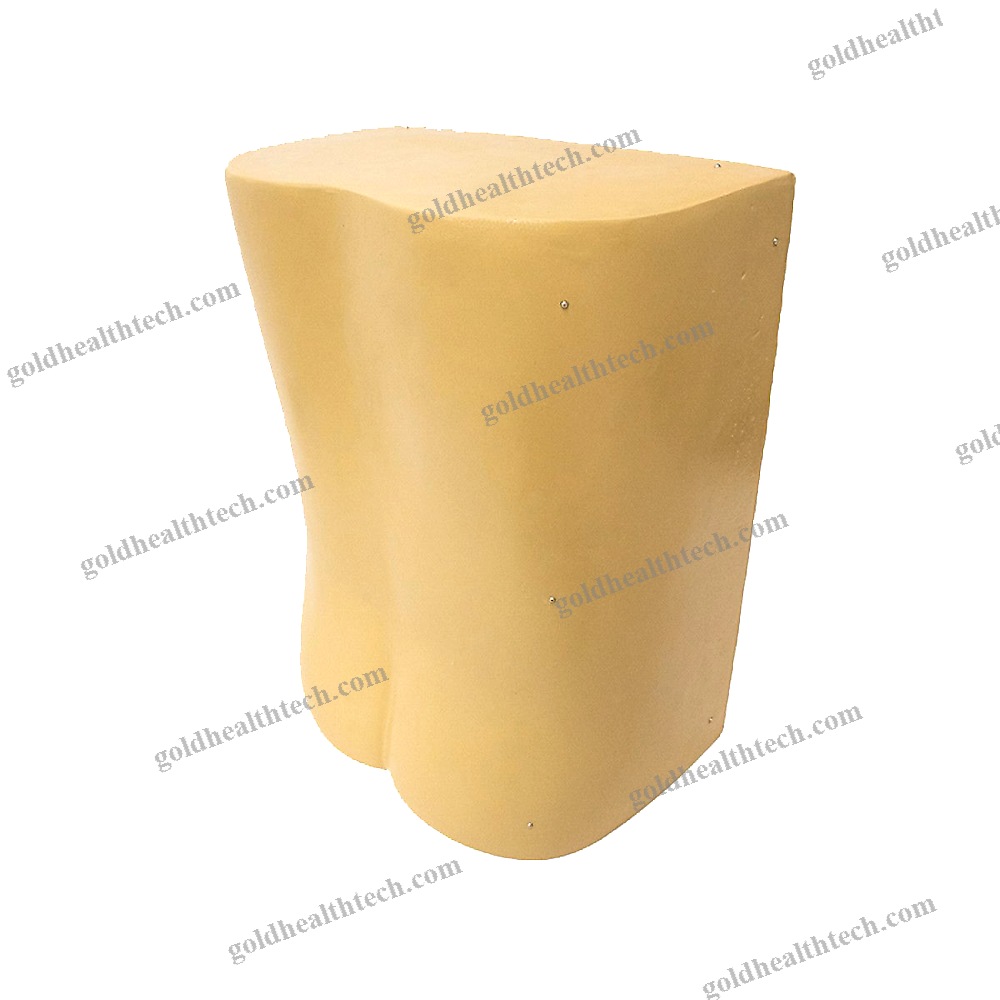 Lumbar Puncture Patient Simulator