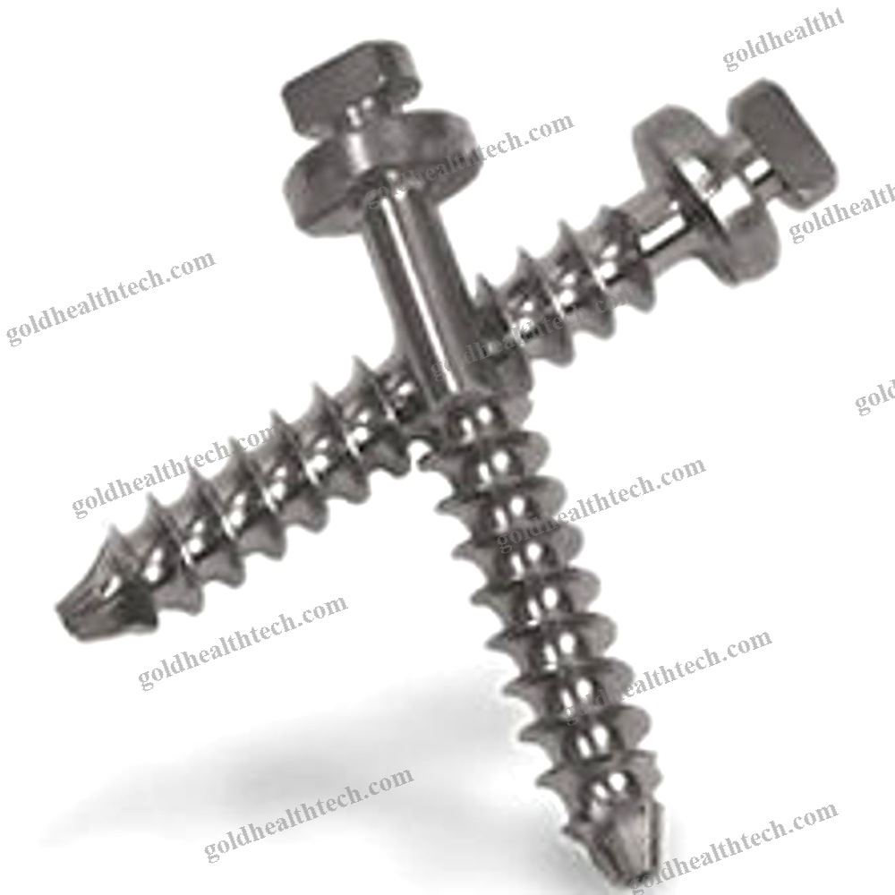Lumbar Vertebra Arthrodesis Screw