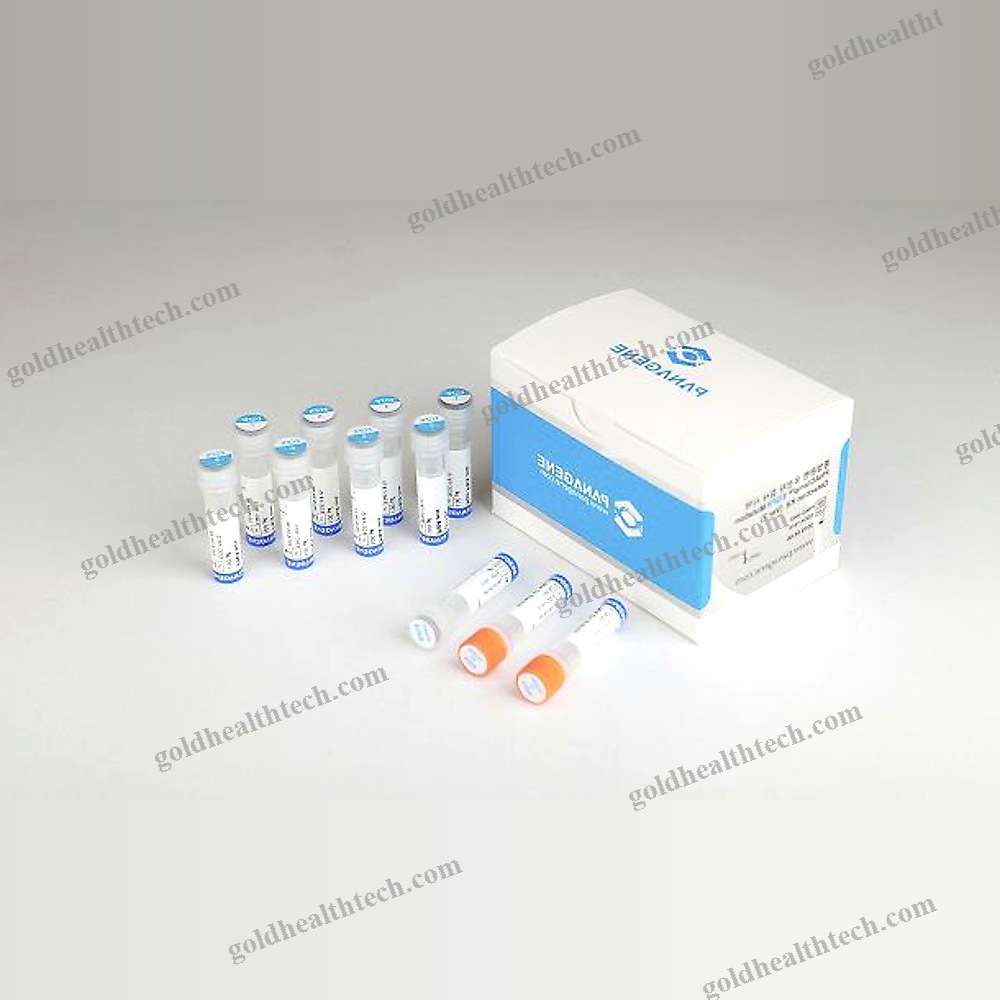 Lung Cancer Test Kit