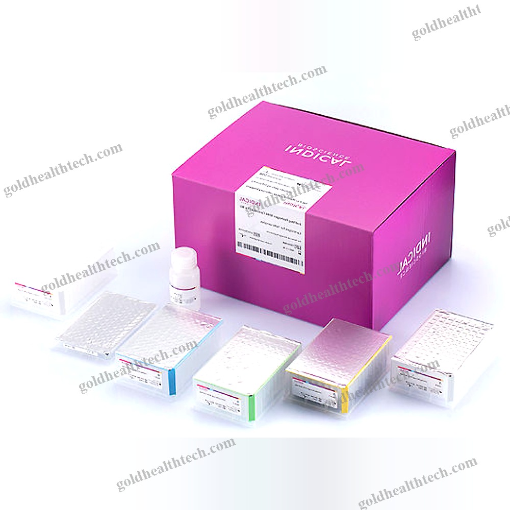 Magnetic Bead-Based Reagent Kit