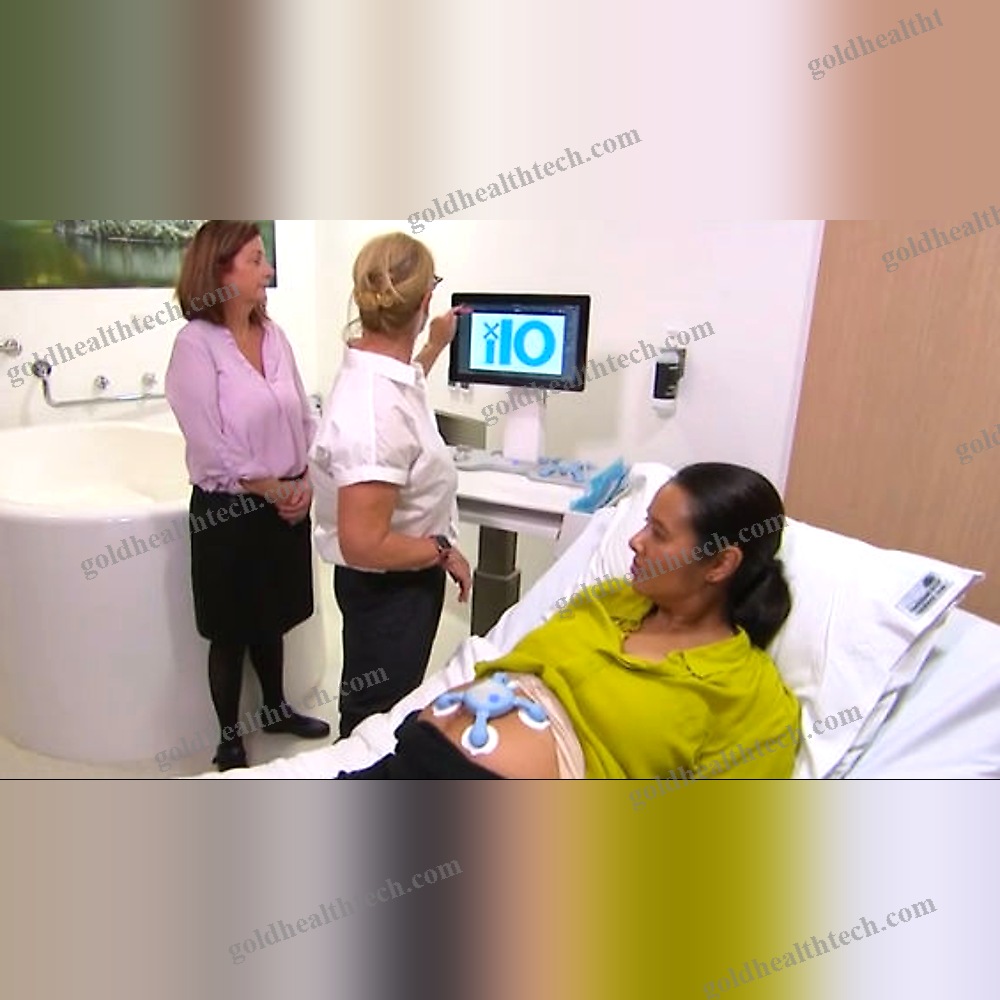 Maternity Ai Platform 1