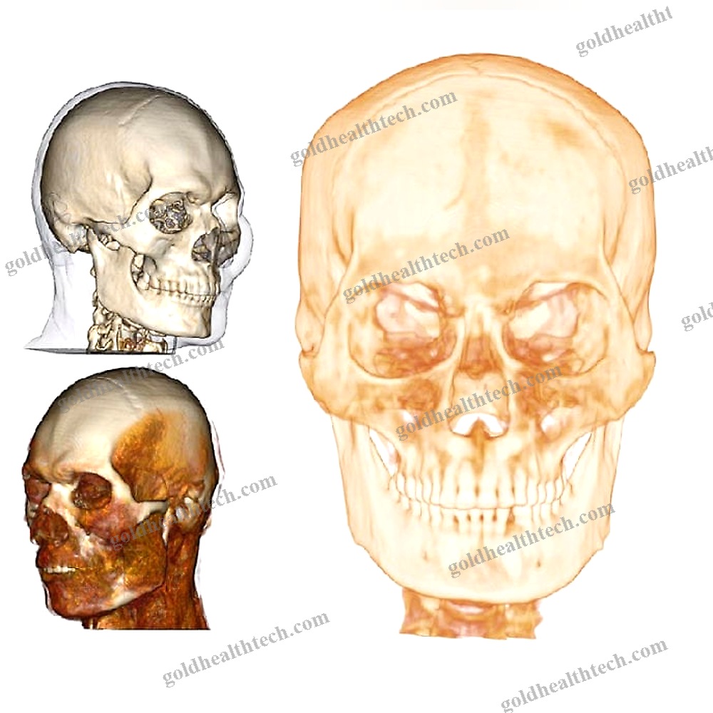 Medical Software