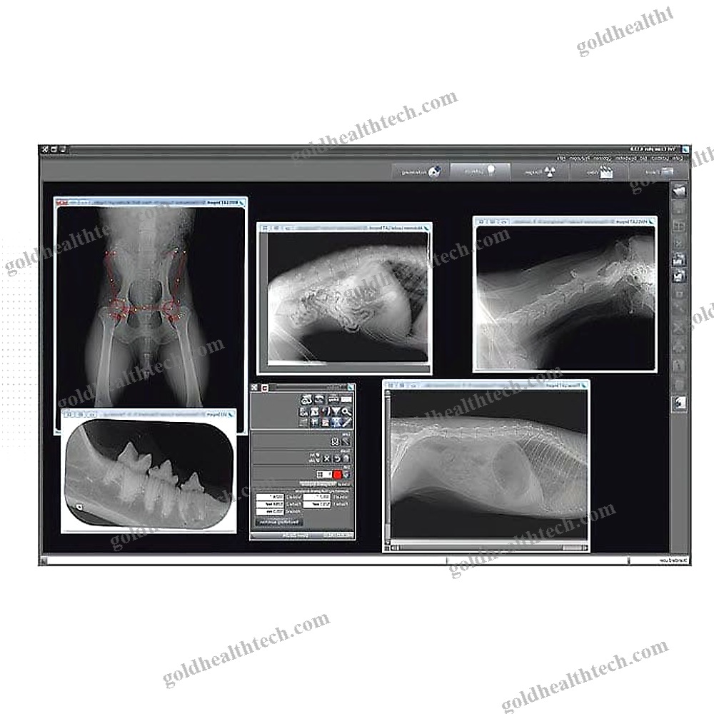 Medical Software