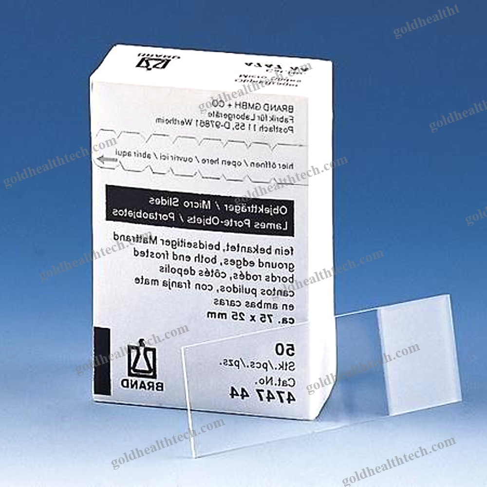 Microscope Slide